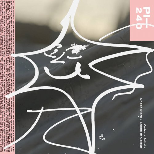 VA - Under Stars / Shells In Colour (2020)