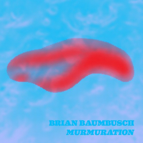 Brian Baumbusch - Murmuration (2020)