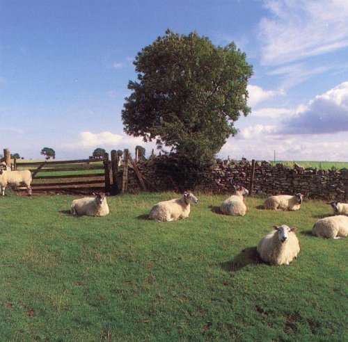 The KLF - Chill Out (1990) (320) [R-DJ]