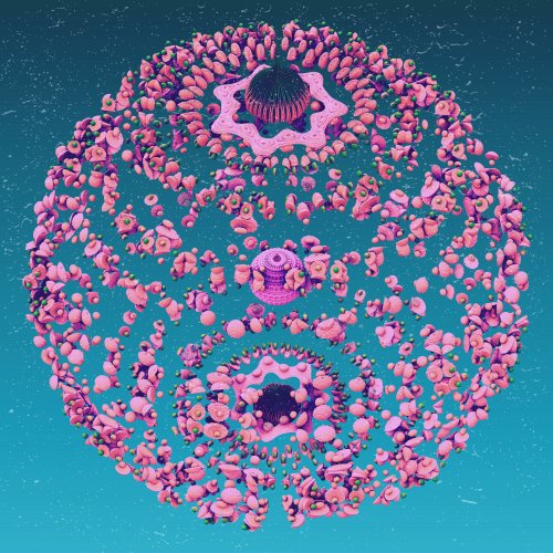 Sentidor - Um Universo Brincando de Ser Gente (2020)