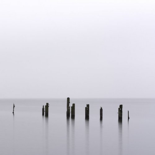 Owl - Infinite Horizon (2021)