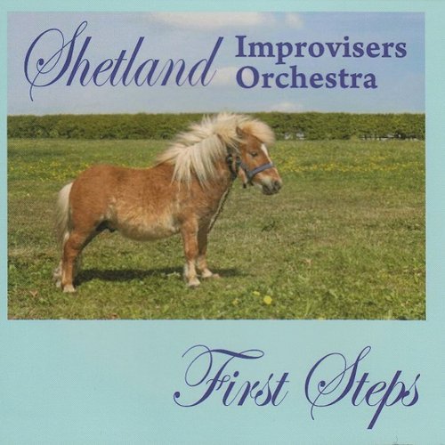 Shetland Improvisers Orchestra - First Steps (2013)