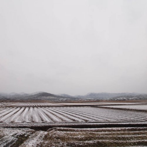 Hakobune - above the northern skies shown (2021)