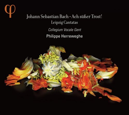 Collegium Vocale Gent, Philippe Herreweghe - Johann Sebastian Bach: Ach süßer Trost! (2012) [Hi-Res]