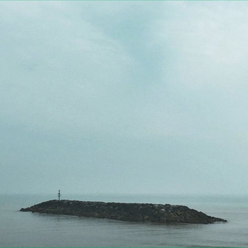 Moss Covered Technology - Seafields (2021)