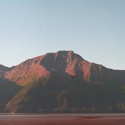 Chaz Knapp - Organ Drunes (2021)