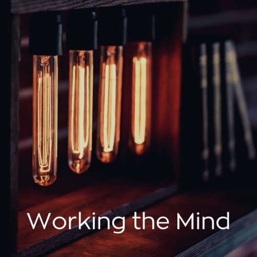 Relax α Wave - Working the Mind (2021) [Hi-Res]