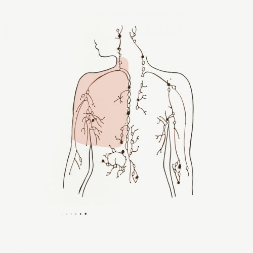 Fax - Constellation (2015)