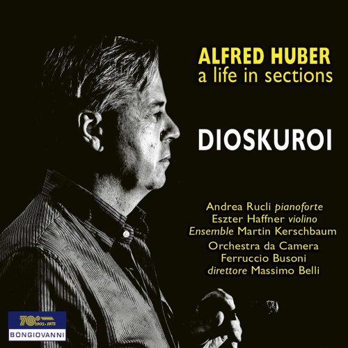 VA - A Life in Sections: Dioskouroi (2021)