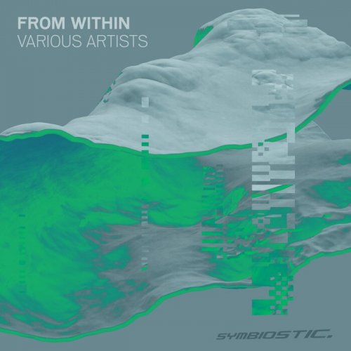 VA - From Within (2021)
