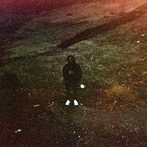 Lani Rose - To: Keep You From: Hurting Me (2021) Hi Res