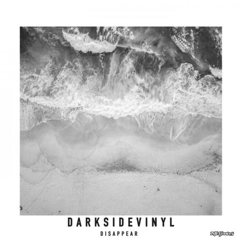 Darksidevinyl - Disappear (2021)