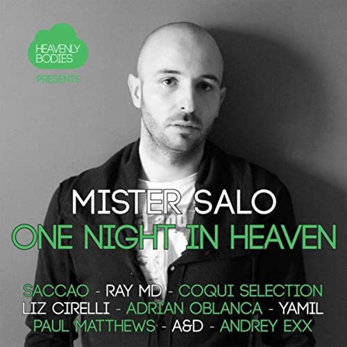 Mister Salo - One Night in Heaven, Vol. 5 - Mixed & Compiled by Mister Salo (2015)