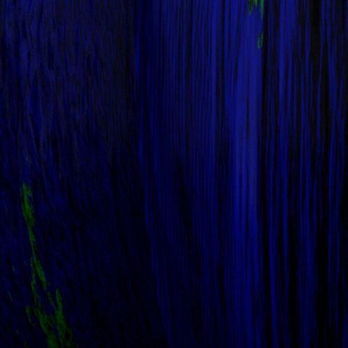 Simon Halsberghe - Beginner’s Mind Signal Funk (2021)