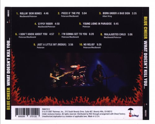 Blue Cheer - What Doesn`t Kill You (2007)
