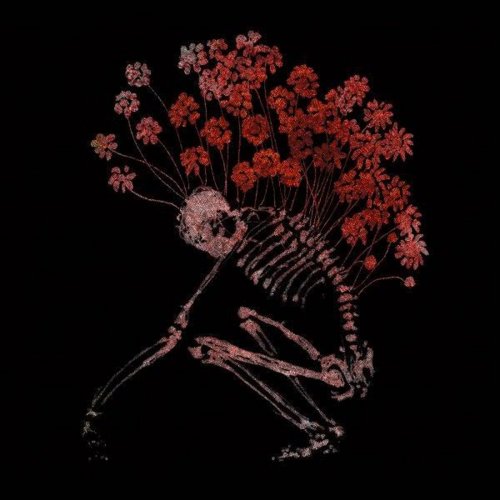 Tenhi - Folk Aesthetic (1996-2006) (2007)