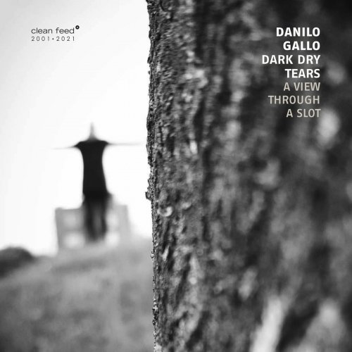 Danilo Gallo Dark Dry Tears - A View Through a Slot (2021)