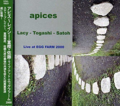 Steve Lacy, Masahiko Togashi, Masahiko Satoh - Apices: Live at Egg Farm 2000 (2013)