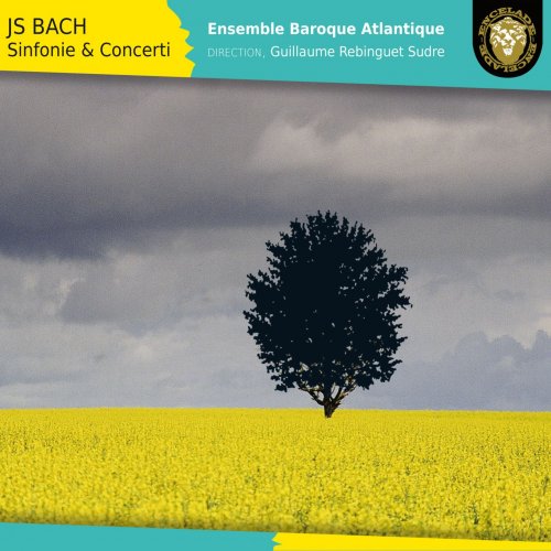 Guillaume Rebinguet Sudre, Ensemble baroque Atlantique - Bach: Sinfonie & Concerti (2014) [Hi-Res]