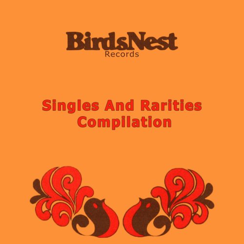 VA - Birdsnest Records: Singles And Rarities Compilation (2021)