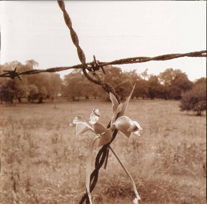 Kate Campbell - Twang On A Wire (2003)