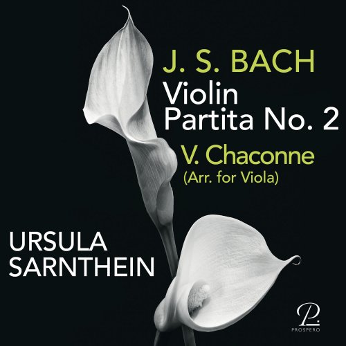 Ursula Sarnthein - Violin Partita No. 2- V. Chaconne (Arr. for Viola) (2021) Hi-Res