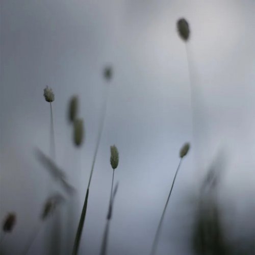 Peter Broderick - Float (2008)