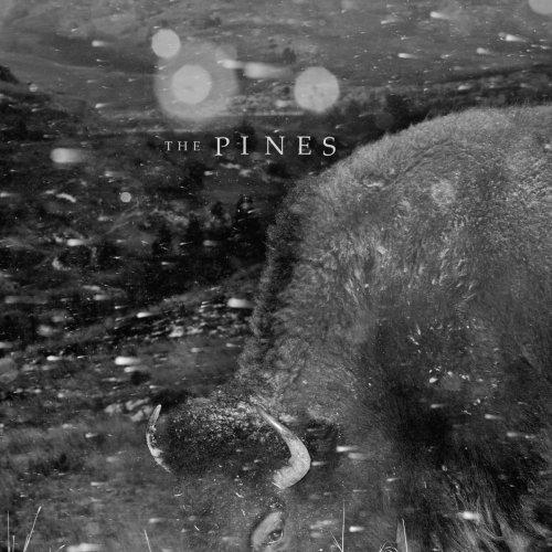 The Pines - Pasture: Folk Songs (2015)