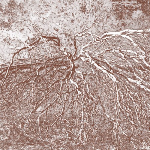 Nasturtium - Please Us (2021)