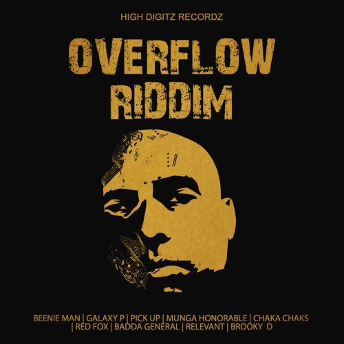 VA - Overflow Riddim (Blessing A Overflow) (2021)