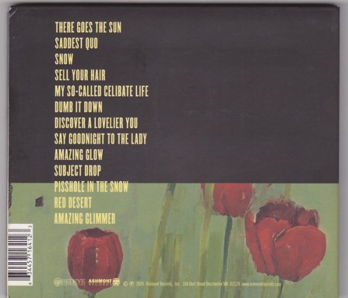 Pernice Brothers - Discover a Lovelier You (2005)