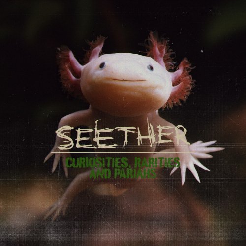 Seether - Curiosities, Rarities And Pariahs (2021)