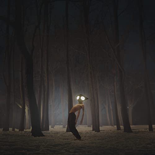 Geese - Projector (2021) Hi Res