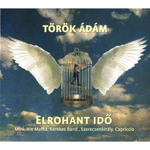 Török Ádám - Elrohant Idő (2013)