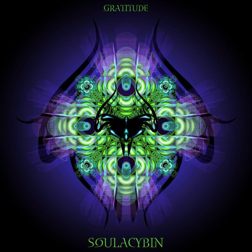 Soulacybin - Gratitude (2014)