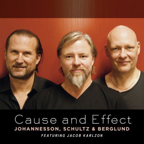 Peter Johannesson, Max Schultz, Dan Berglund, Jacob Karlzon - Cause and Effect (2012)