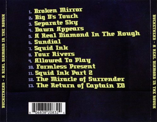 Buckethead - A Real Diamond In The Rough (2009) [.flac 24bit/44.1kHz]