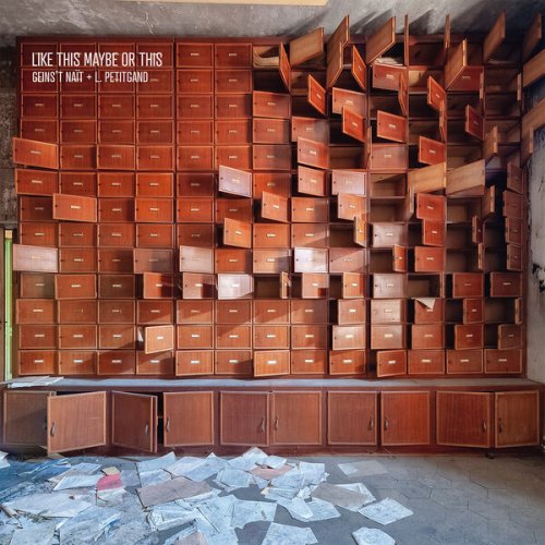 Geins't Nait & L. Petitgand - Like This Maybe Or This (2020) [Hi-Res]