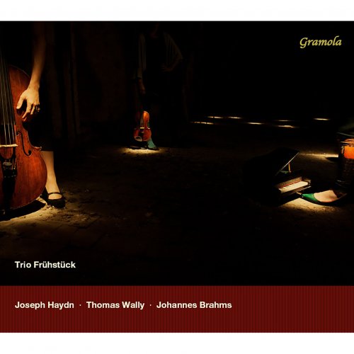 Trio Frühstück - Haydn, Wally & Brahms: Works for Piano Trio (2014)
