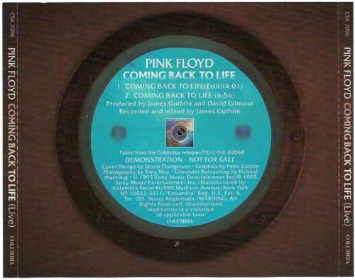 Pink Floyd - Coming Back To Life (1995)