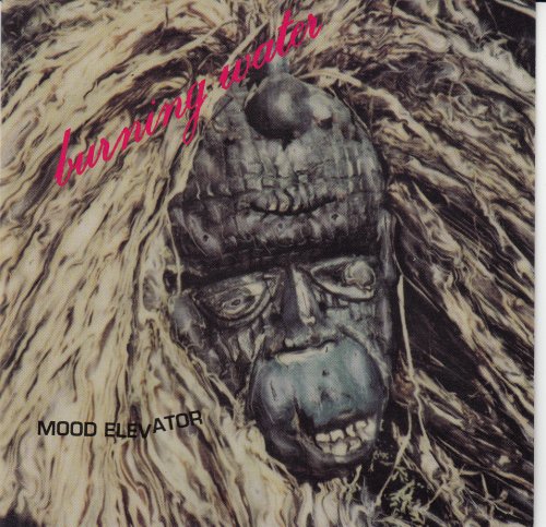 Michael Landau and Burning Water - Mood Elevator (1994)