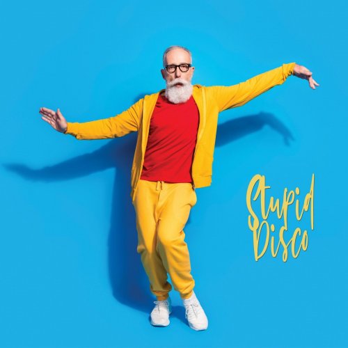 VA - Stupid Disco (2022)