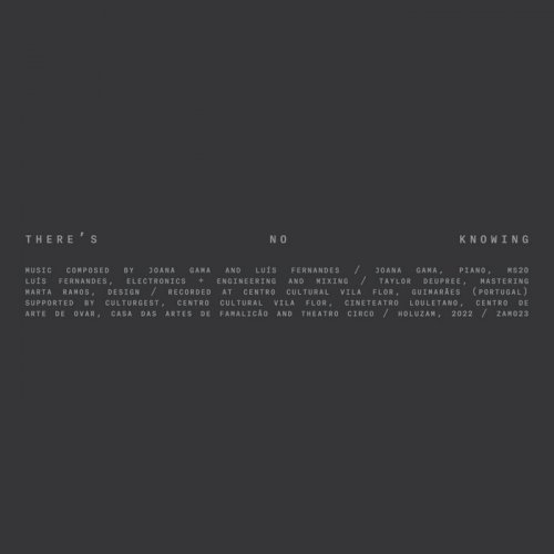 Joana Gama, Luís Fernandes - There's no knowing (2022)