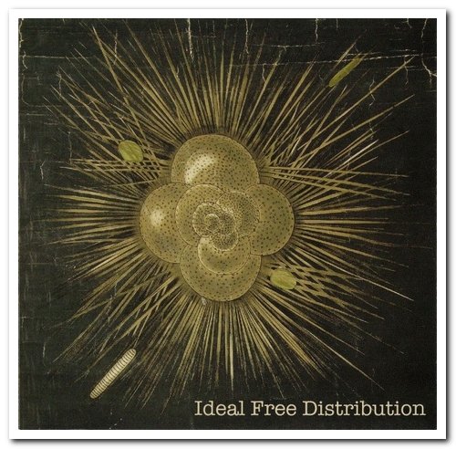 Ideal Free Distribution - Ideal Free Distribution (2007)