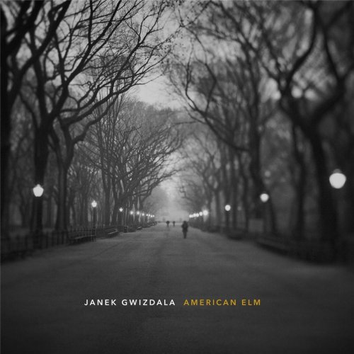 Janek Gwizdala - American Elm (2016)