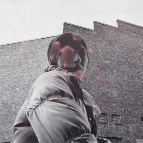 Aldous Harding - Warm Chris (2022) [Hi-Res]