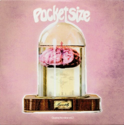Pocket Size - Immortality - Cleaning The Mirror, Volume 2 (2018)