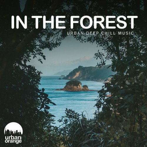 VA - In the Forest: Urban Deep Chill Music (2022)