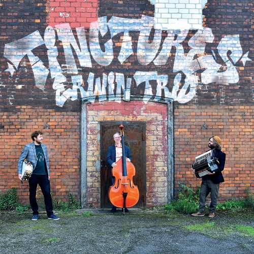 Erwin Trio - Tinctures (2022)
