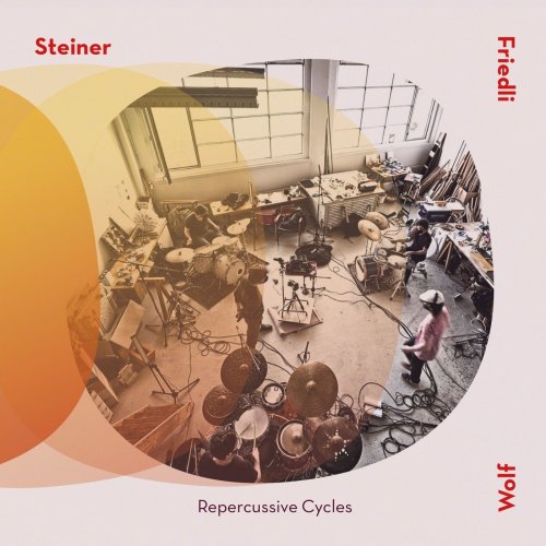 Steiner - Friedli - Wolf - Repercussive Cycles (2022) Hi-Res